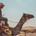 man riding on brown camel close-up photography