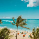 Vibrant tropical beach scene with palm trees and clear blue water.