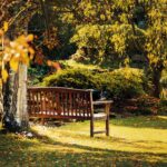 Serene wooden bench surrounded by vibrant autumn foliage in a tranquil Kent park.