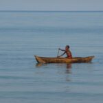 malawi, malawi lake, lake malawi, child, boat, a tree, paddle, malawi, malawi, malawi, malawi, malawi, lake malawi