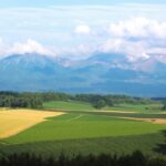 japan, hokkaido, biei, rural, japan, hokkaido, hokkaido, hokkaido, hokkaido, hokkaido, biei