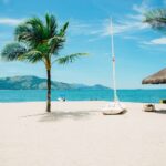 coconut tree near shore within mountain range