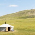 white and brown house on green grass field during daytime