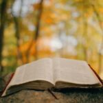 An open book rests on a rock with autumn trees.