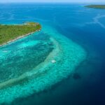 aerial view of green island during daytime