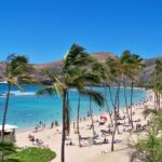 hawaii, sea, bay, nature, beach, summer, sand